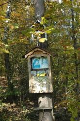 DSC_0892.jpg -