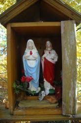 DSC_0921.jpg -